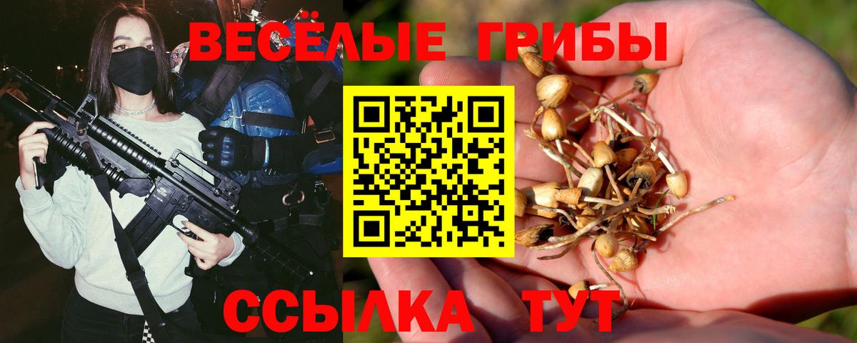 Псилоцибиновые грибы ЛСД Нижний Новгород